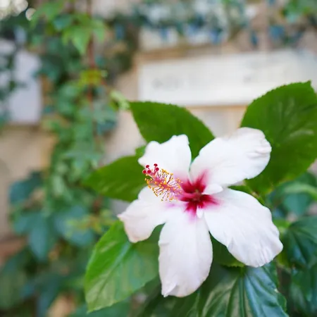 海德威酒店 酒店 卡斯