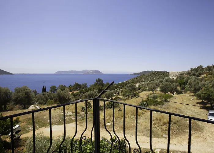 酒店 海德威酒店 3*